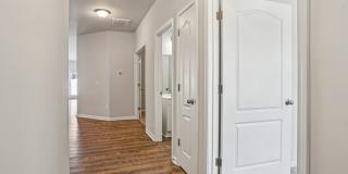 Poplin Trace Gallery 32