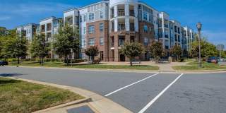 Holly Crest Gallery 51