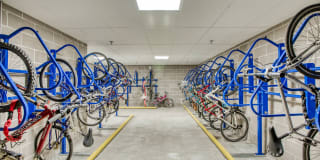 Centric LoHi by Windsor Gallery 30