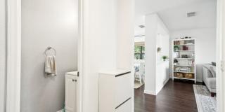 39 Longleaf Coral Gallery 17