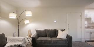 Biltmore Biltmore Gallery 32