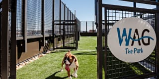 Avalon 555 President Gallery 34