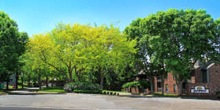 Lionshead Apartments Gallery 22