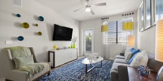 Olympus Steelyard Gallery 12