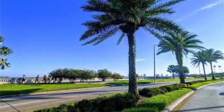 501 S MAGNOLIA AVENUE Gallery 22