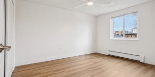 534 Washington Gallery 12