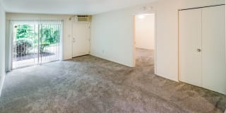 College Woods Gallery 44