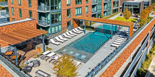 Aster Aster Gallery 3