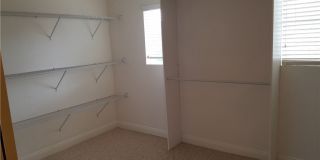 3412 LACEBARK PINE Street Gallery 12