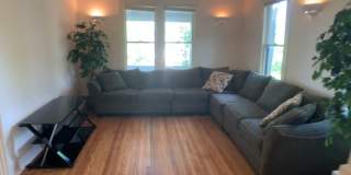 113 Dewitt Pl. Gallery 1