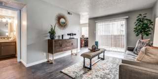 The Borough Gallery 6