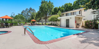 Los Gatos Creek Gallery 8