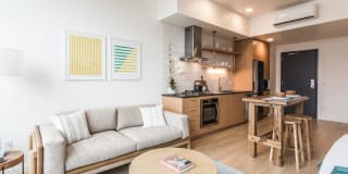 230 Ash Gallery 2