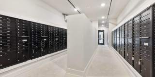 Bridge at Windsor Park Gallery 42