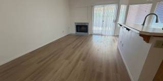 Hard to Find 4 Bedroom Single Story Gallery 4