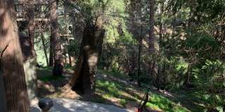 922 Berne Dr Gallery 18