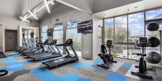 Shade at Desert Ridge Gallery 13