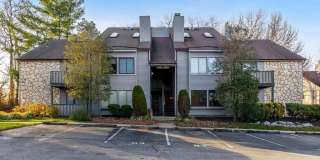 1825 THE WOODS II Gallery 1