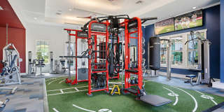 Citra at Windermere Gallery 23