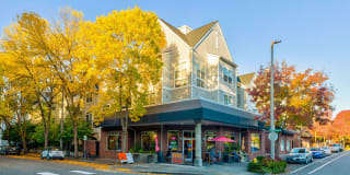 LionsGate North Gallery 23