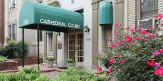 3010 Wisconsin Avenue NW - 309 3010 Wisconsin Avenue NW - 309 Gallery 1