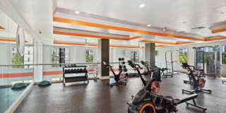 The Point at Lakeside Gallery 18