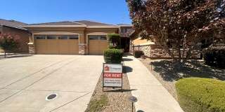 12425 Kibbie Lake Way Gallery 1