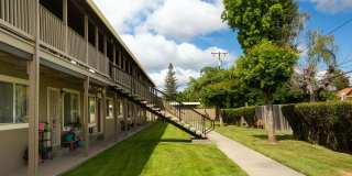 Sunset Village Gallery 10