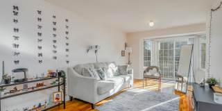 225 BELVEDERE AVE Gallery 2