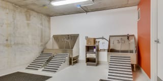 Windsor Cirrus Gallery 45