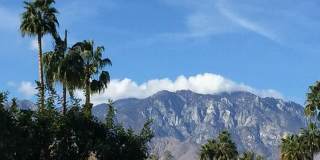 69940 Los Cocos Court Gallery 34