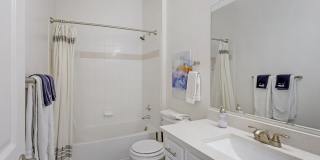 Pinnacle Mountain View Gallery 10