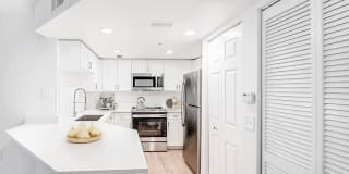 Palm Trace Landings Gallery 34