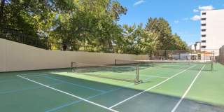 AVA Van Ness Gallery 33