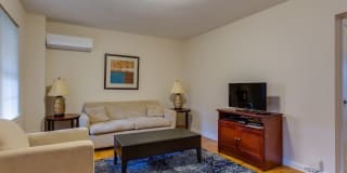 Harvard Village Gallery 33