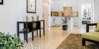 Botanica Town Center Gallery 13