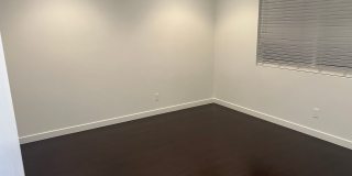 True Beauty! SOLAR Gallery 17