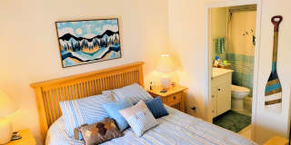 SEASONAL/SHORT TERM TURNKEY condo SEASONAL/SHORT TERM TURNKEY condo Gallery 22