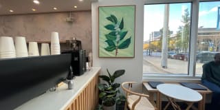 9 E Mt. Royal Gallery 12