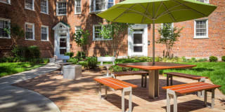 Harvard Village Gallery 7