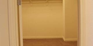 SHOWINGS AVAILABLE NOW Gallery 37