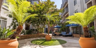 Belle Fontaine Gallery 48