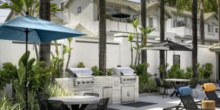 Las Palmas Gallery 24