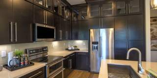 6565 E Thomas Rd #1042 Scottsdale, AZ 85251 Gallery 7