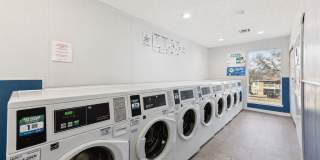 Treehouse Gallery 26