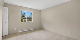 ReNew Dash Point Gallery 31