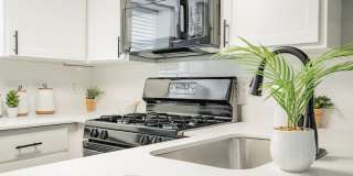 Aero White Rock Gallery 5