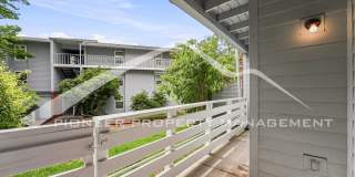 Spacious Condo with Central AC and Washer/Dryer Gallery 19
