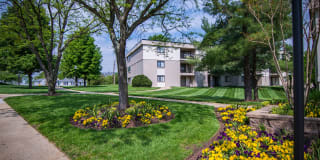 Ashley Apartments Gallery 7