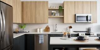 Skymark Reston Town Center Gallery 1